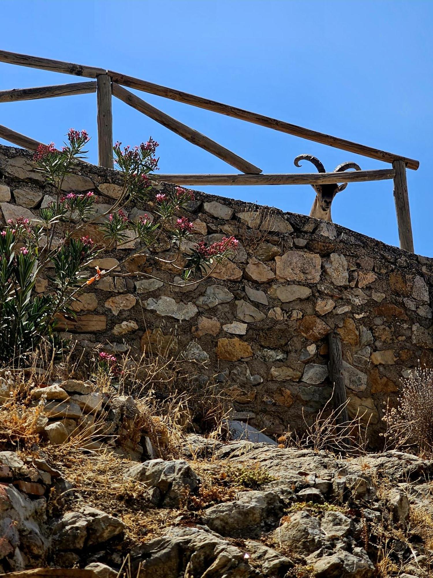 La Mocha Casa Rural La Casa De Ani La Iruela Εξωτερικό φωτογραφία